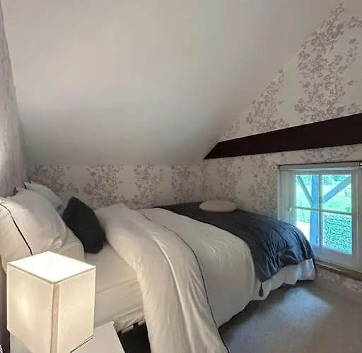 - * Saint-Ellier-du-Maine