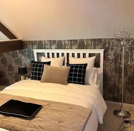 - Saint-Ellier-du-Maine